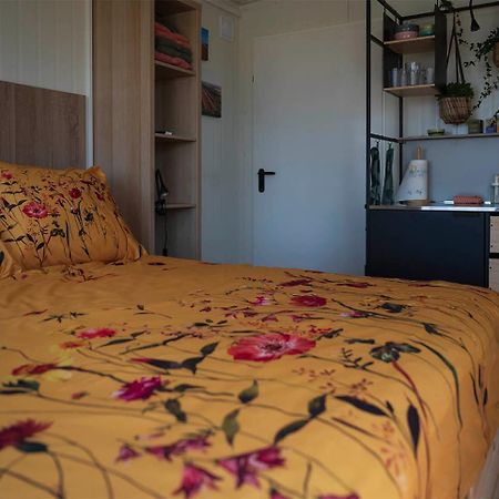 Bed and Breakfast Bloem & Bed 't Zand Exteriér fotografie