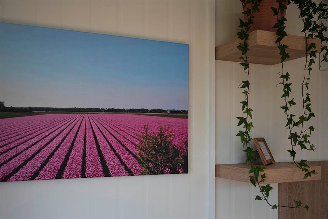Bed and Breakfast Bloem & Bed 't Zand Exteriér fotografie