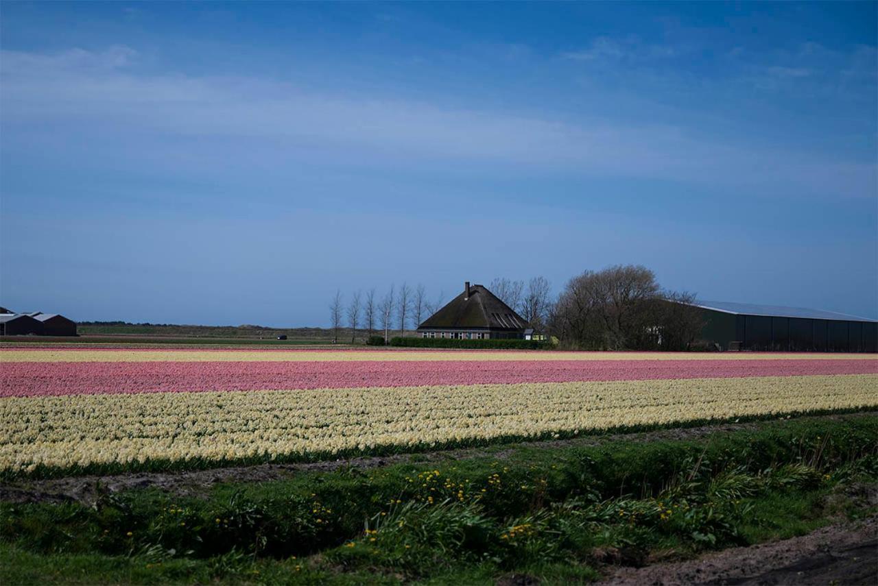 Bed and Breakfast Bloem & Bed 't Zand Exteriér fotografie