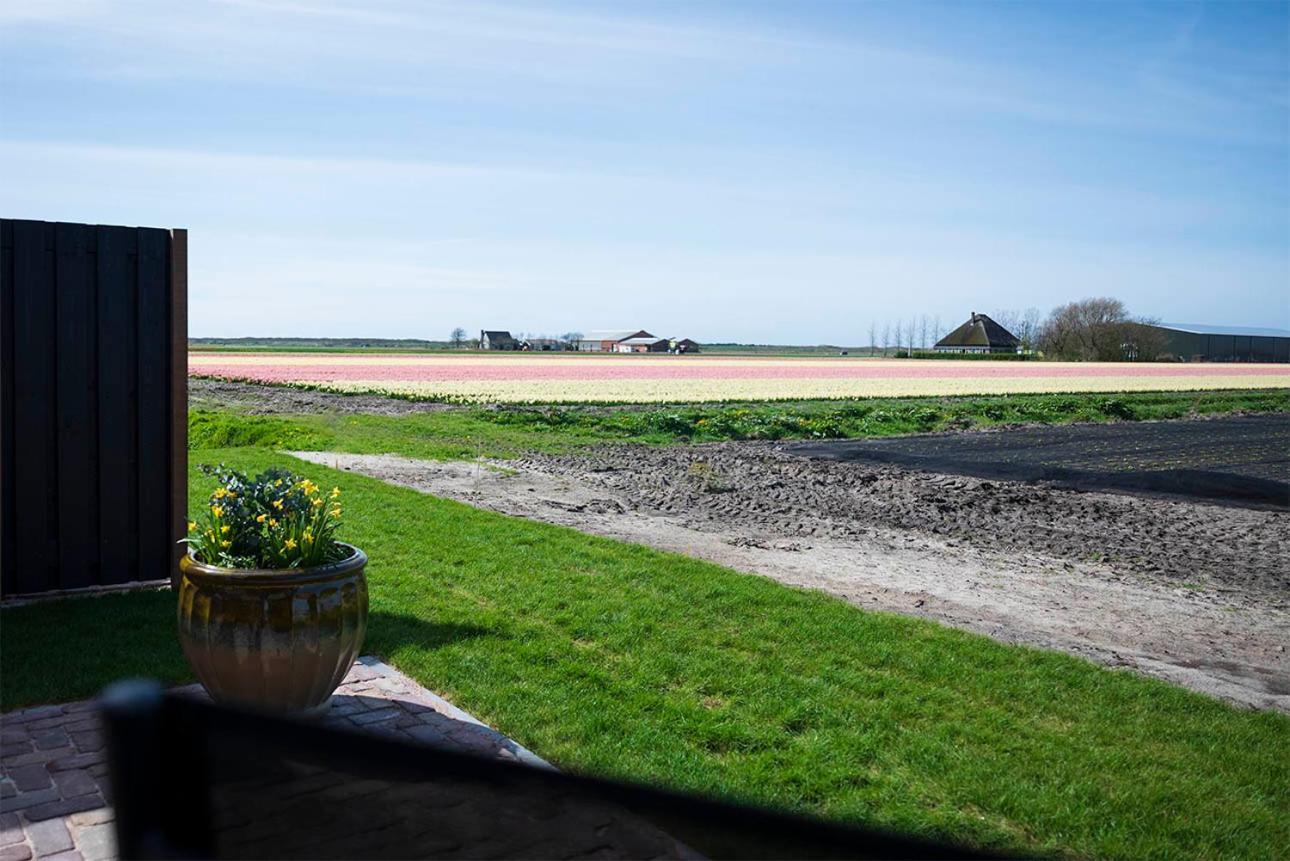 Bed and Breakfast Bloem & Bed 't Zand Exteriér fotografie